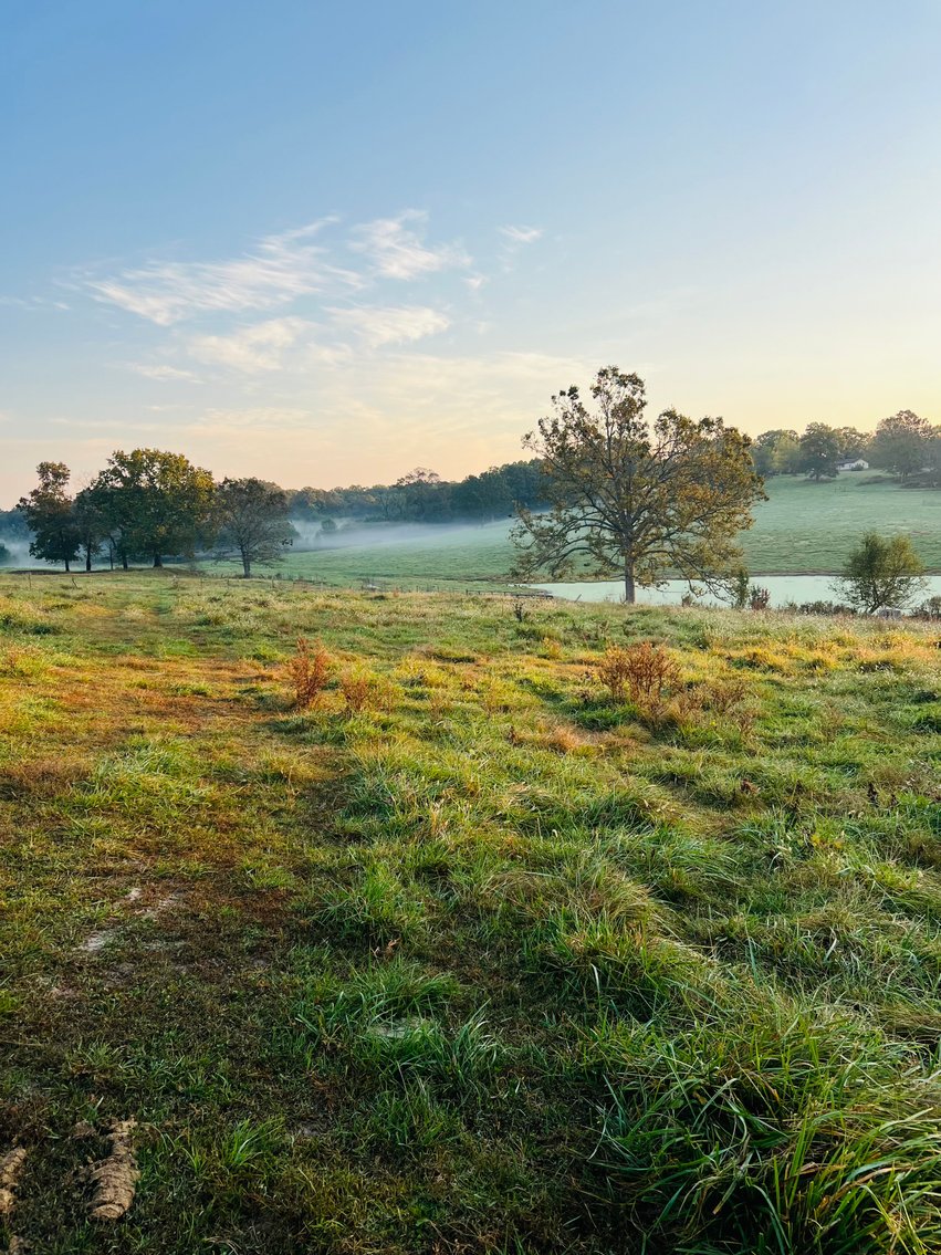 Image for Howell County Land Auction