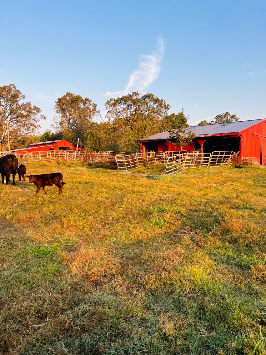 Image for Howell County Land Auction