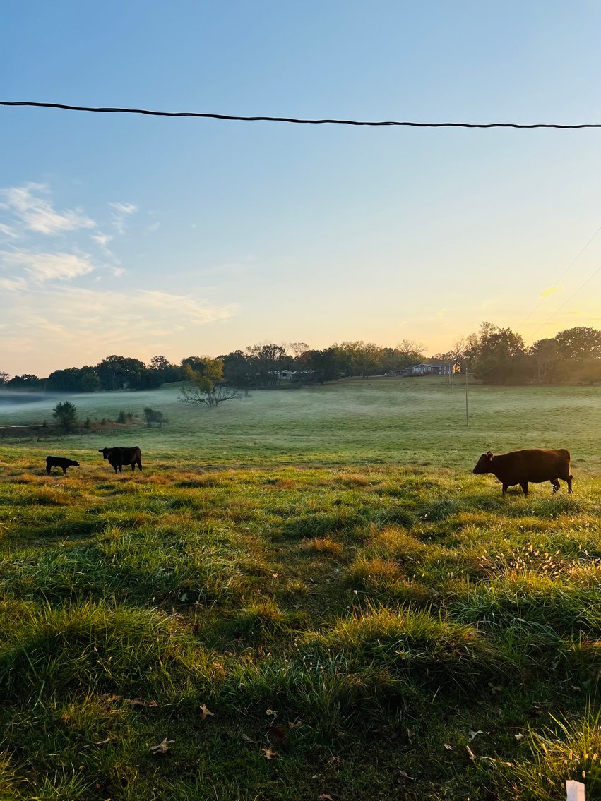 Image for Howell County Land Auction