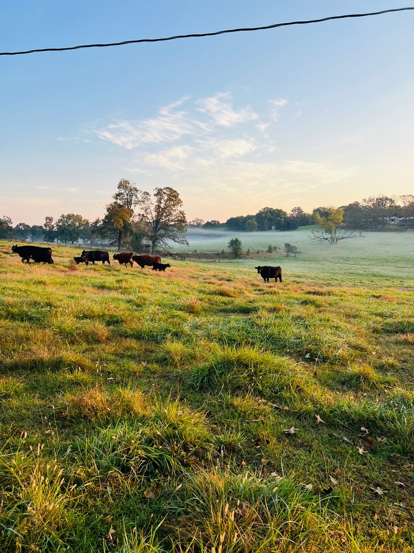 Image for Howell County Land Auction