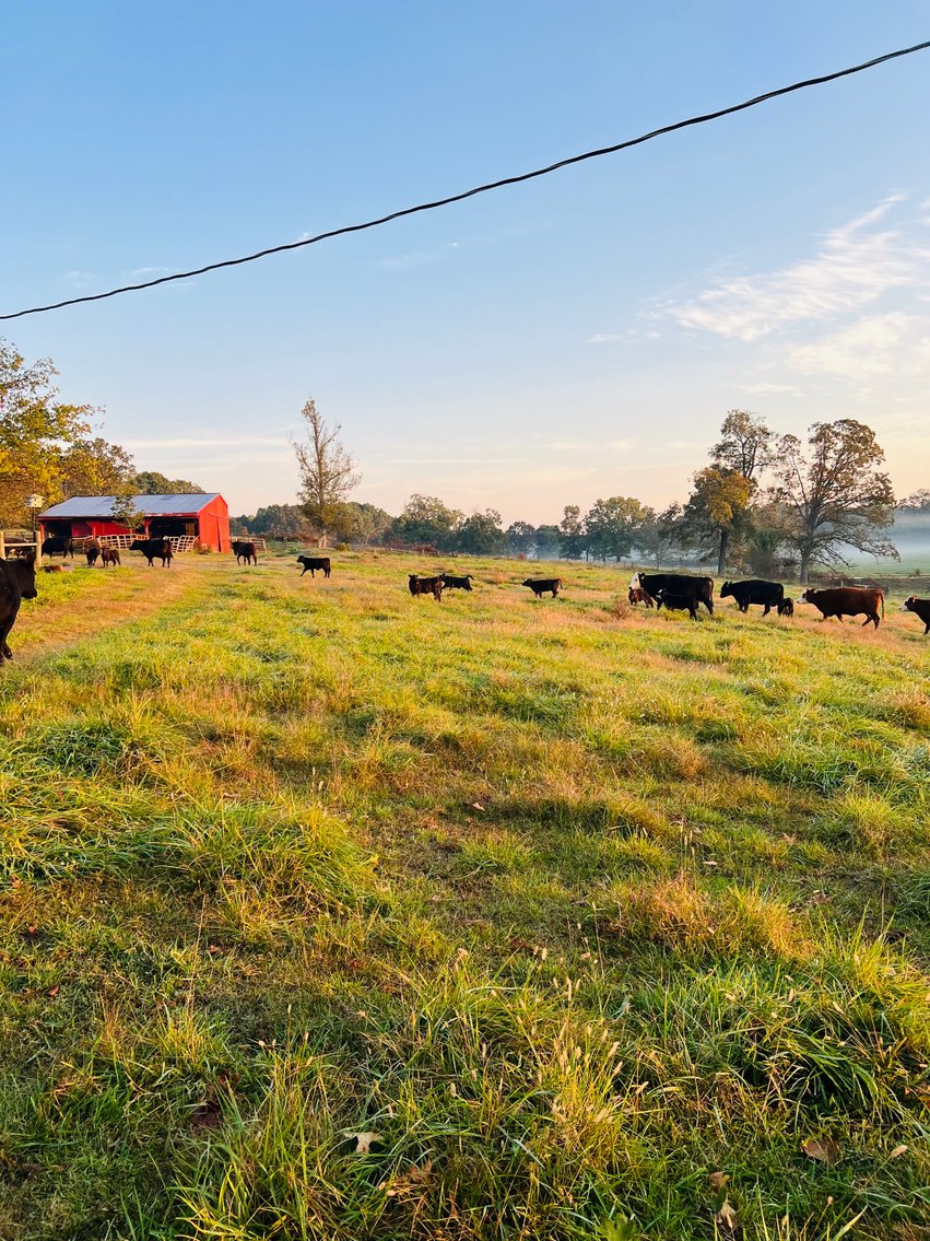 Image for Howell County Land Auction