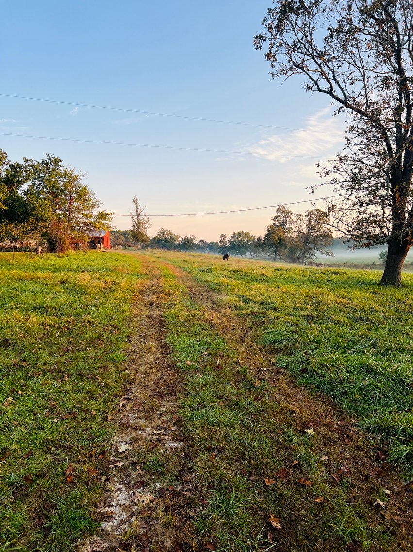 Image for Howell County Land Auction