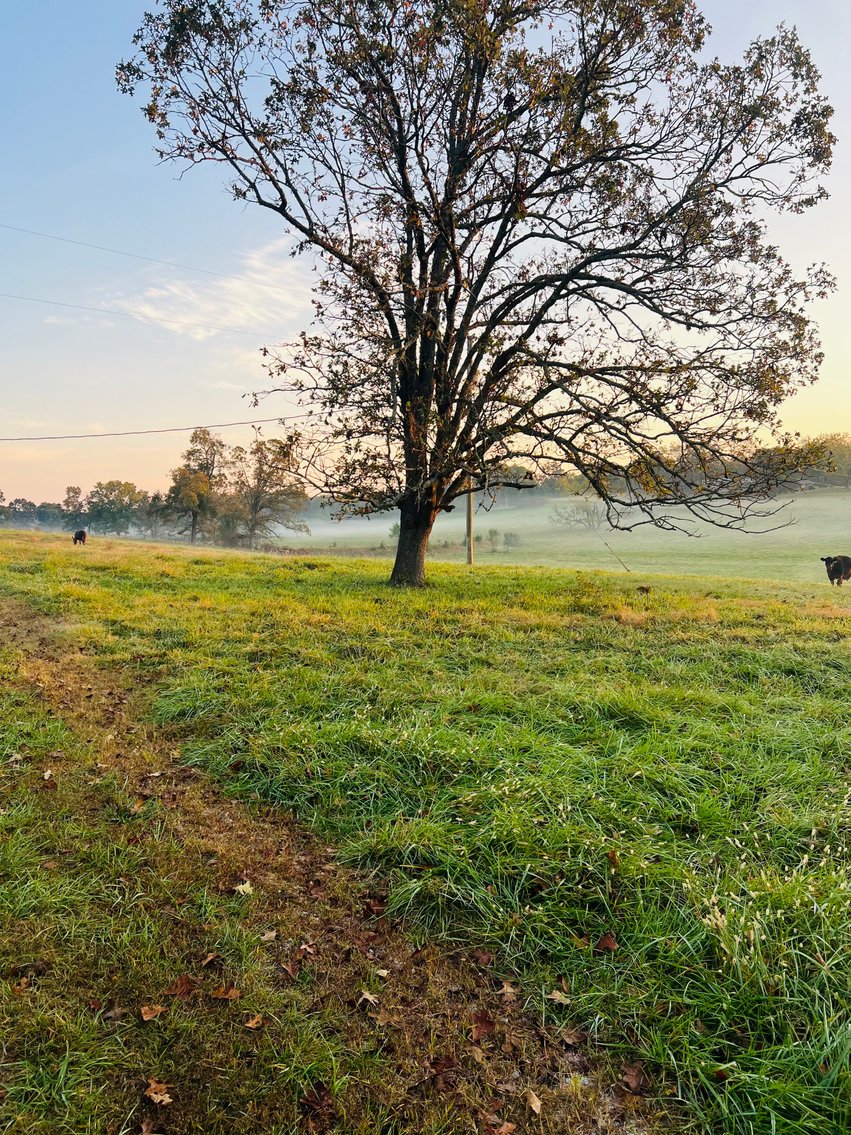 Image for Howell County Land Auction