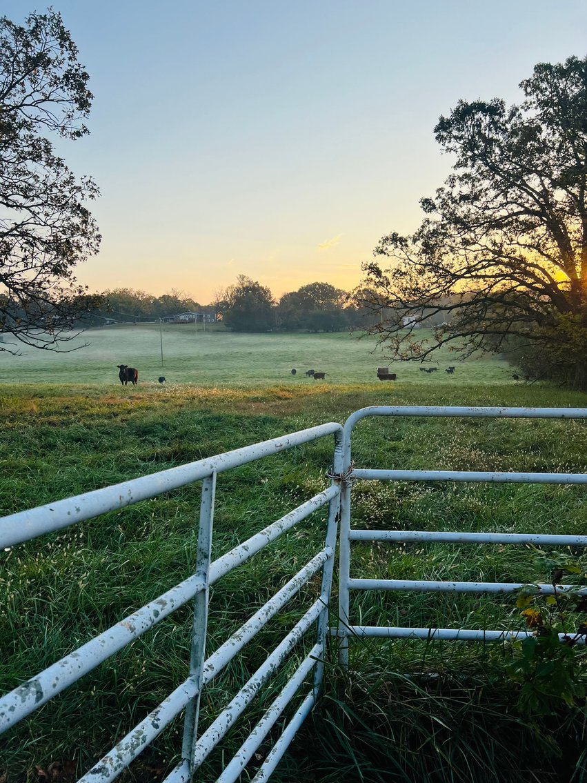 Image for Howell County Land Auction