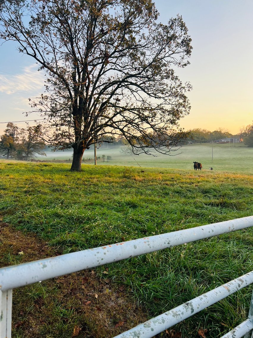 Image for Howell County Land Auction