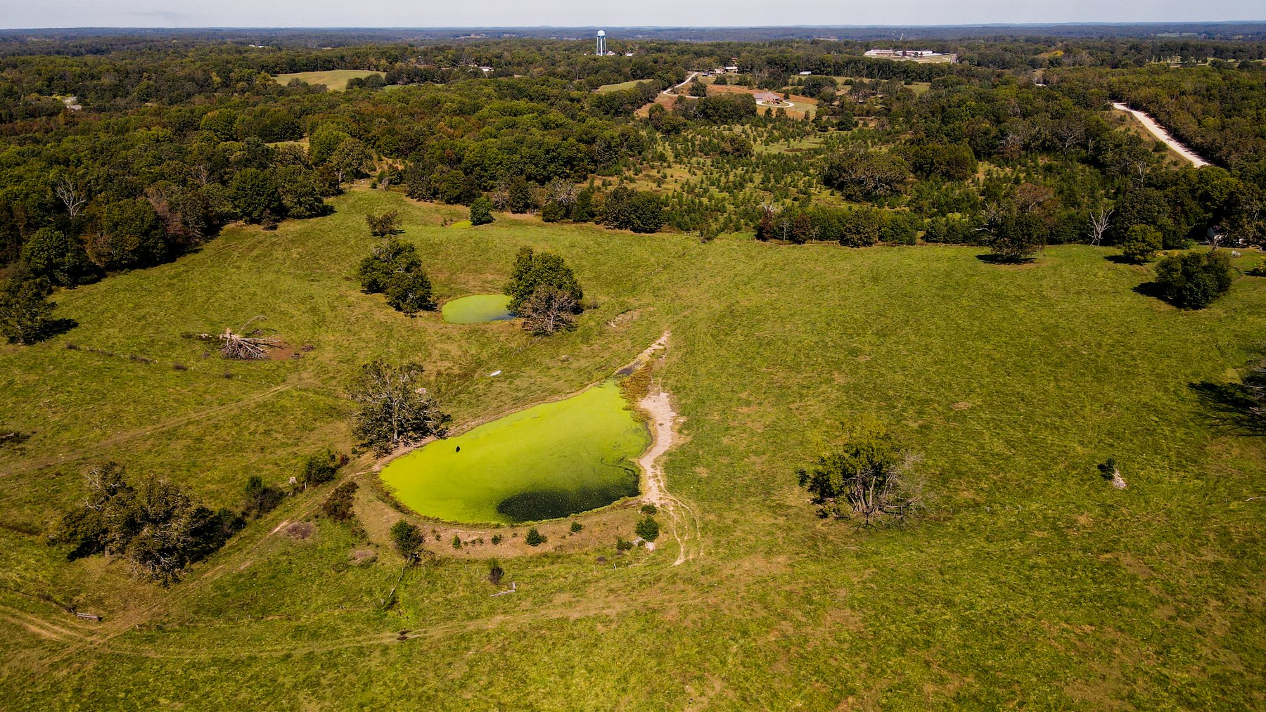 Image for Howell County Land Auction