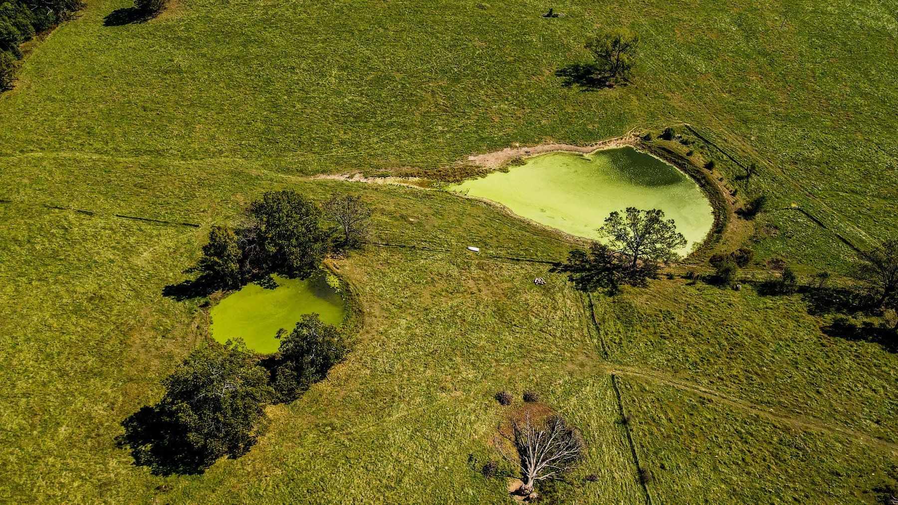 Image for Howell County Land Auction