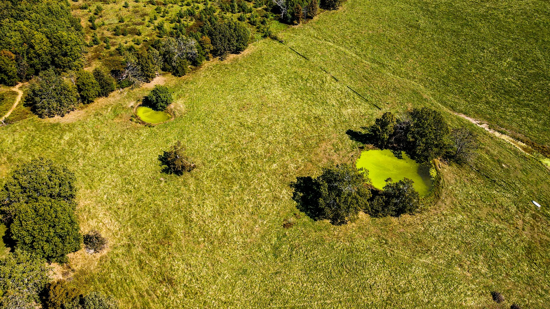 Image for Howell County Land Auction