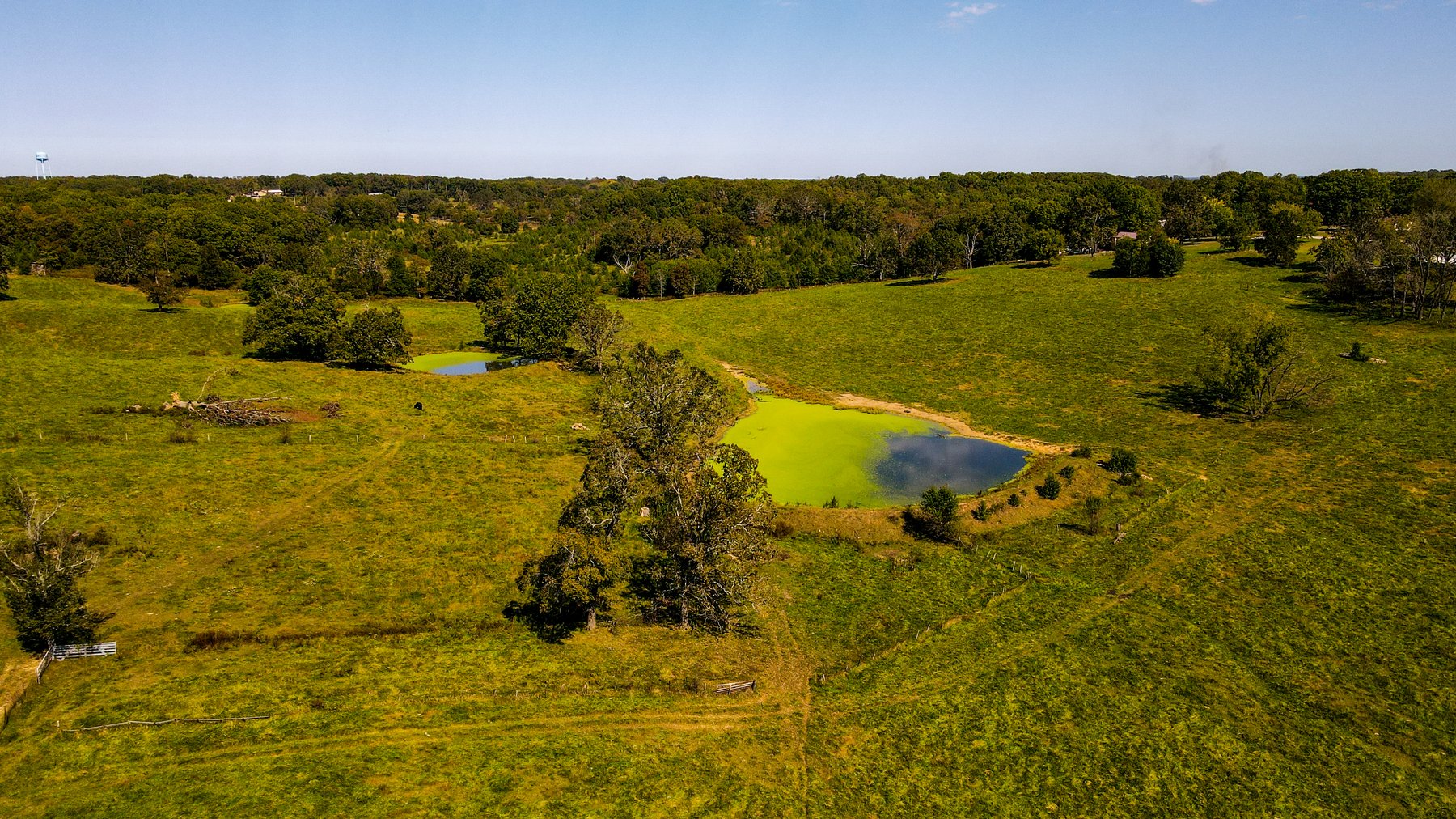 Image for Howell County Land Auction