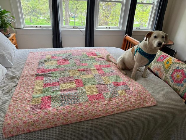 Image for Midtown Omaha Relocation, Cars, Dune Buggy, Antiques, Firearm, Household Timed Auction