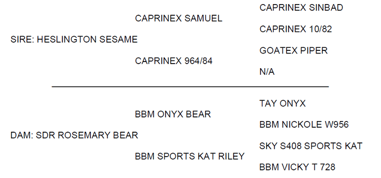Image for 2024 SEKGA- Spring Sale