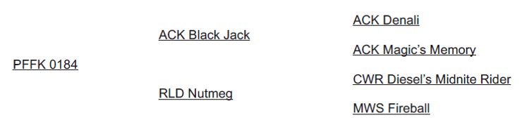 Image for 2024 | NKR Spotlight Sale