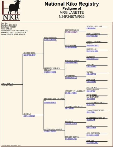Image for 2024 | Cream of Crop-  Kiko Sale