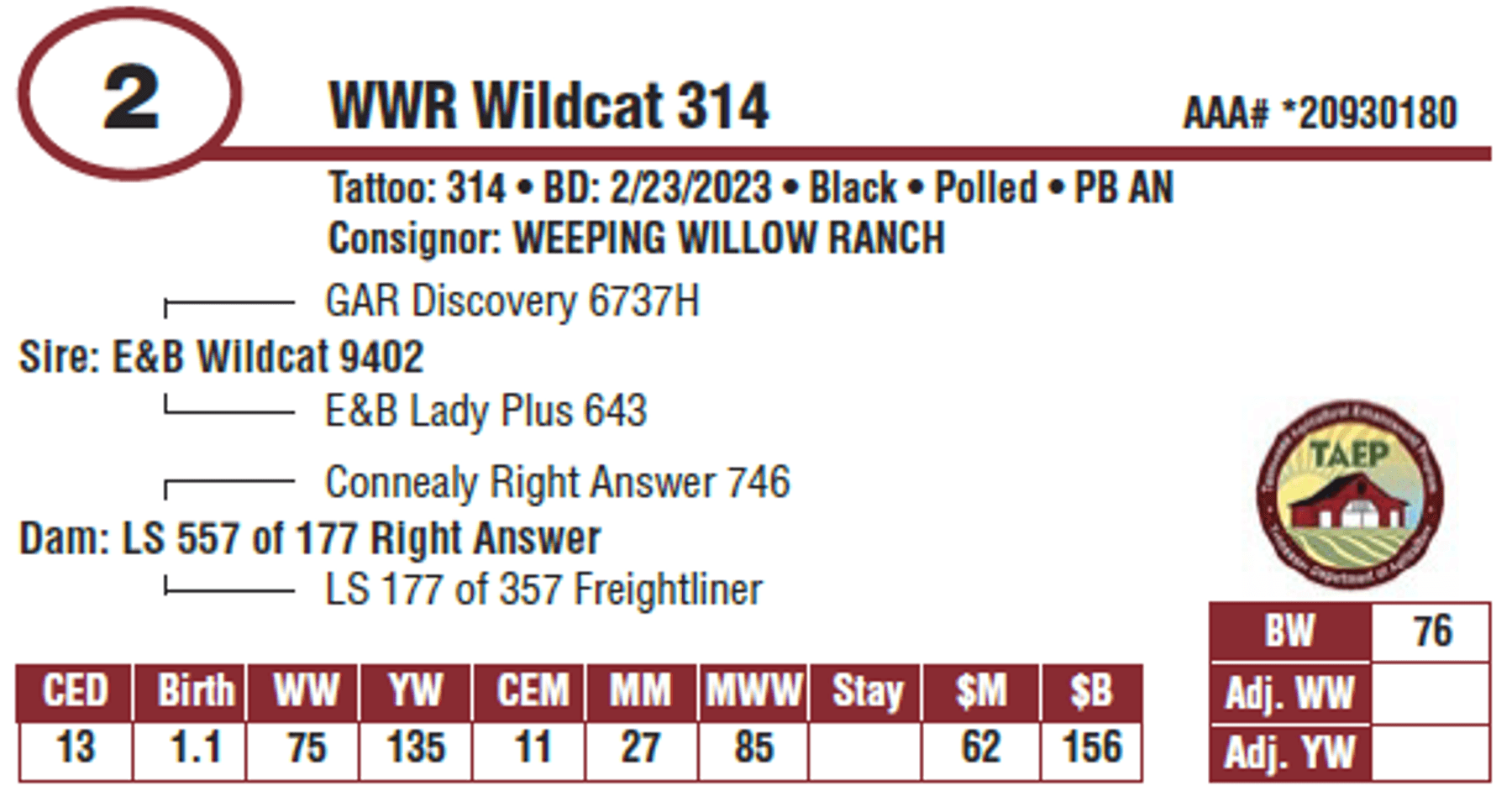 Image for 2024 | Platinum Alliance All Breed- Bull & Female Sale