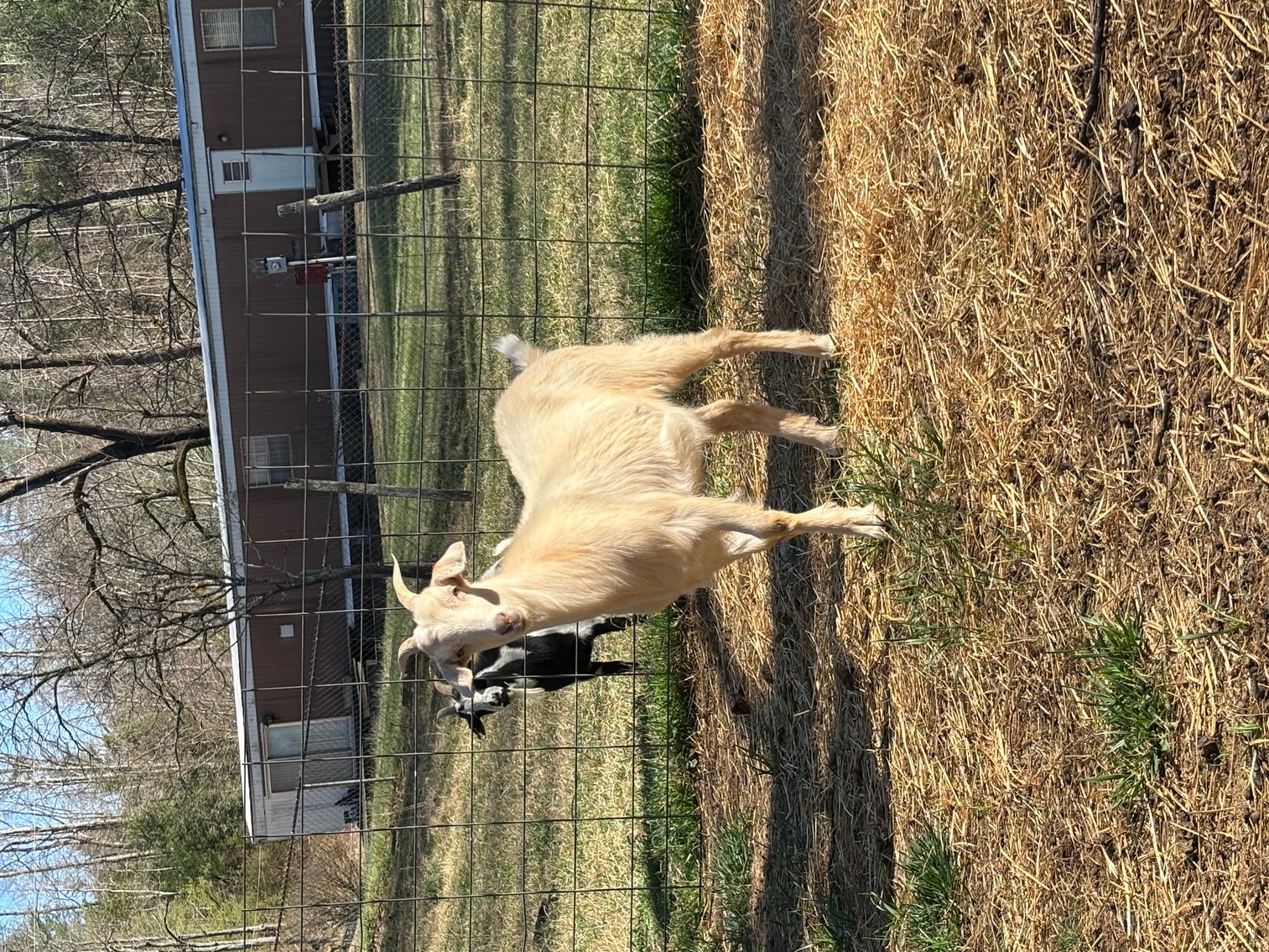 Image for 2025 | NKR Spotlight Sale