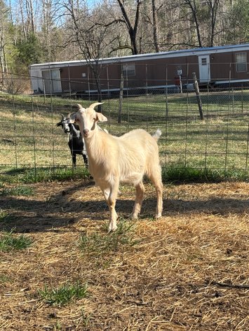 Image for 2025 | NKR Spotlight Sale