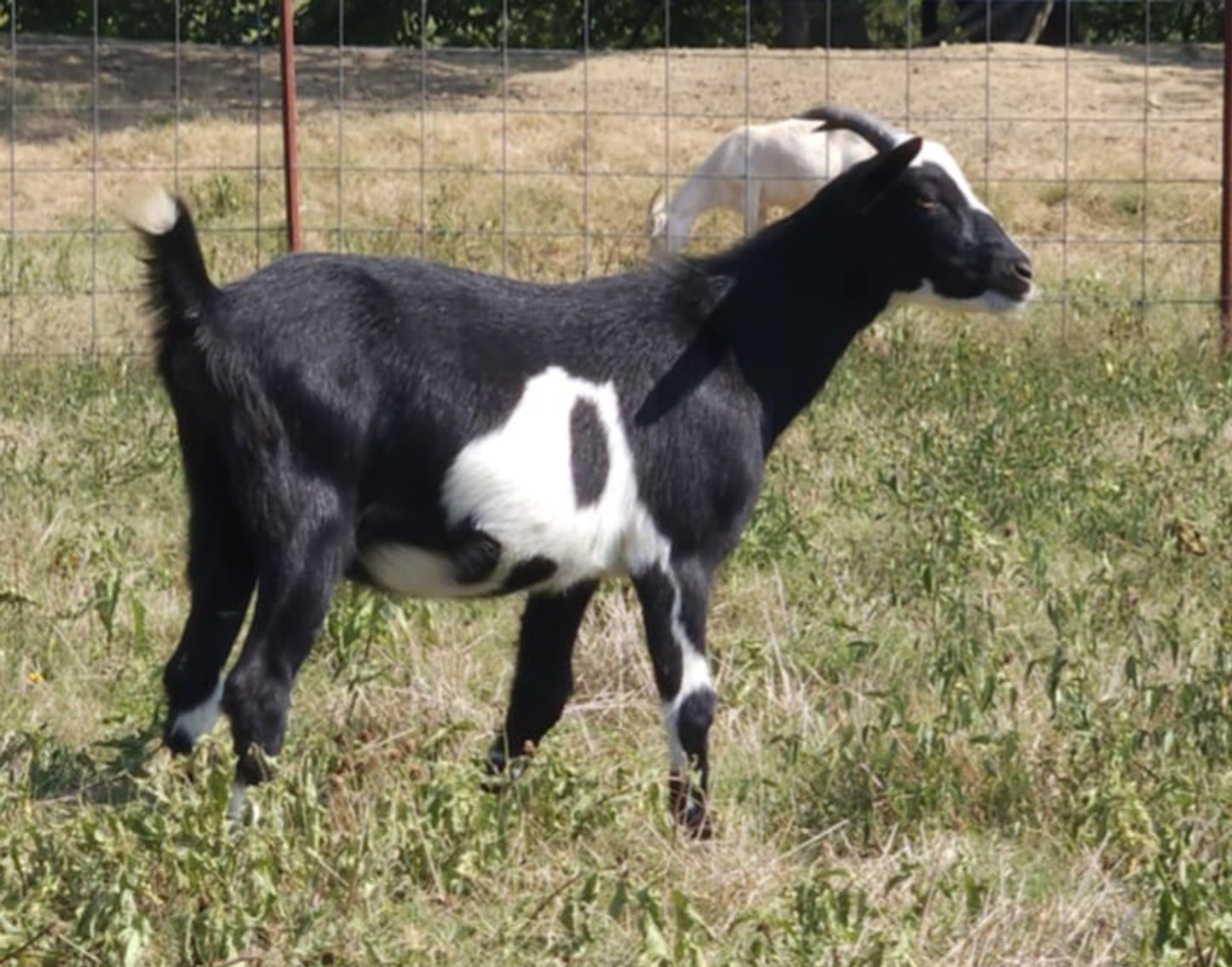 Image for 2025 | Appalachian Kiko Invitational