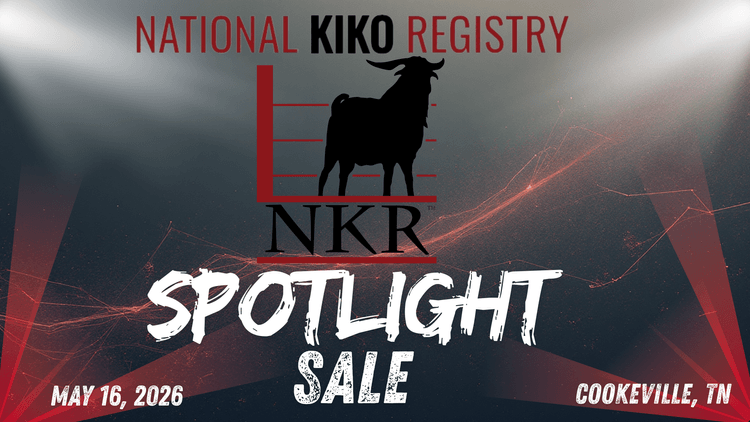 Image for 2026 | NKR Spotlight Sale