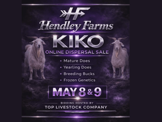 Image for 2026 Hendley Farms | Dispersal Sale