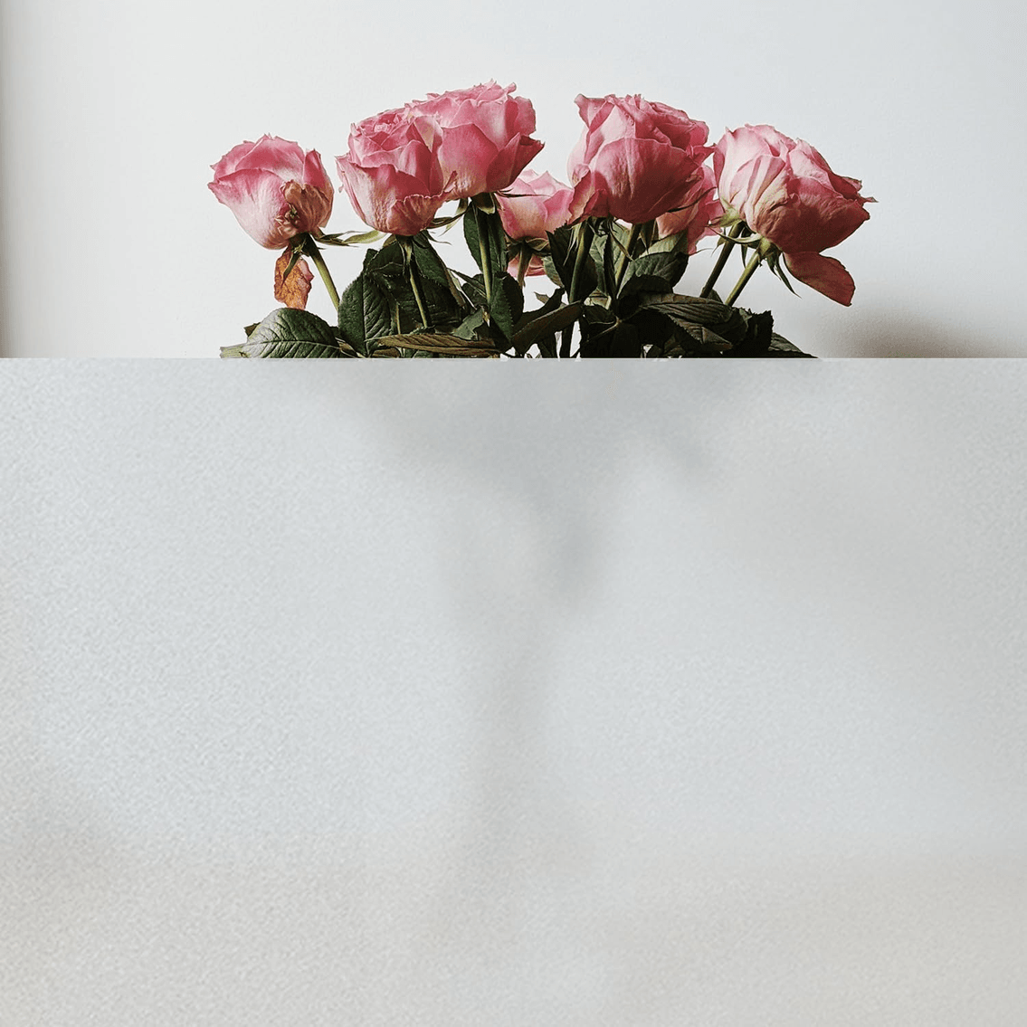 Image for Auction #159