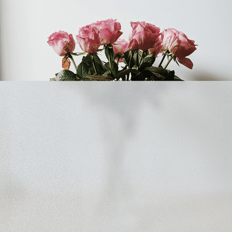 Image for Auction #159