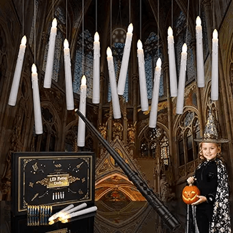 Image for Auction #305