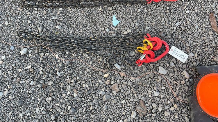 Image for Ring 1 - 14th Annual Pre-Season Absolute Auction