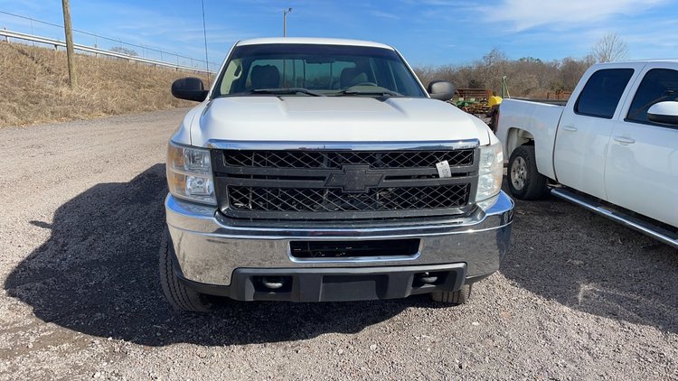 Image for Ring 4- 14th Annual Pre-Season Absolute Auction