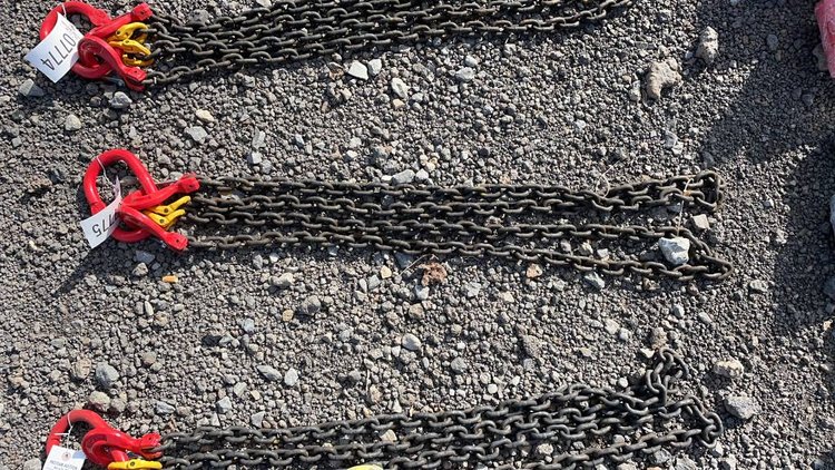 Image for Ring 1- 14th Annual Spring Absolute Auction