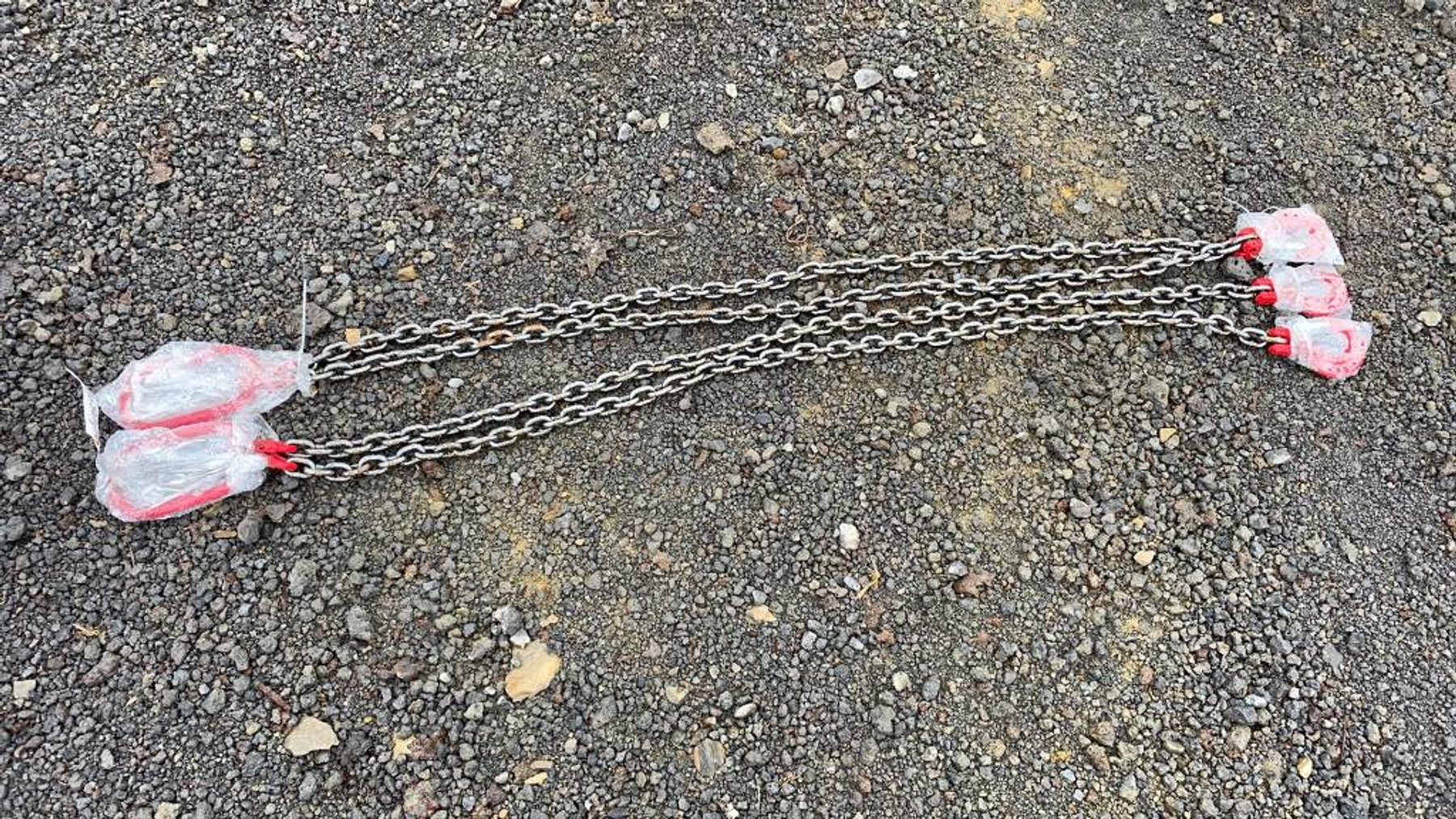 Image for Ring 3- 14th Annual Spring Absolute Auction