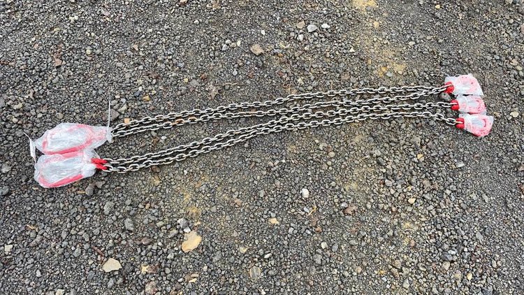 Image for Ring 3- 14th Annual Spring Absolute Auction