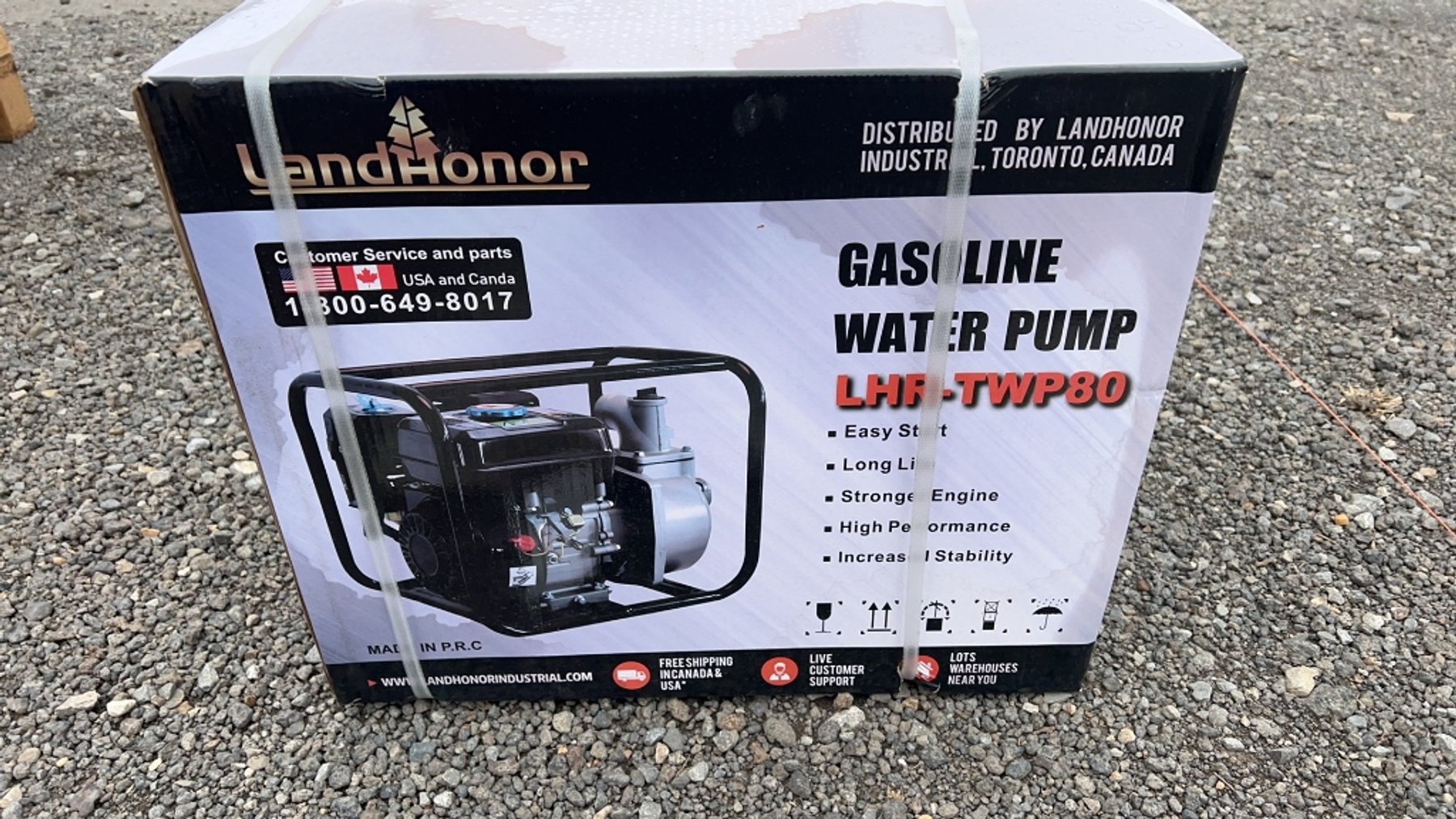 Image for RING 1 - 16th ANNUAL SPRING ABSOLUTE AUCTION