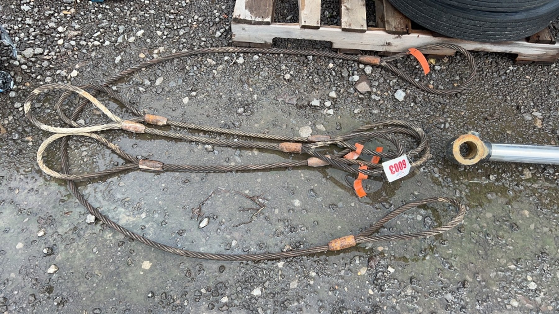 Image for RING 6 - 16th ANNUAL SUMMER ABSOLUTE AUCTION