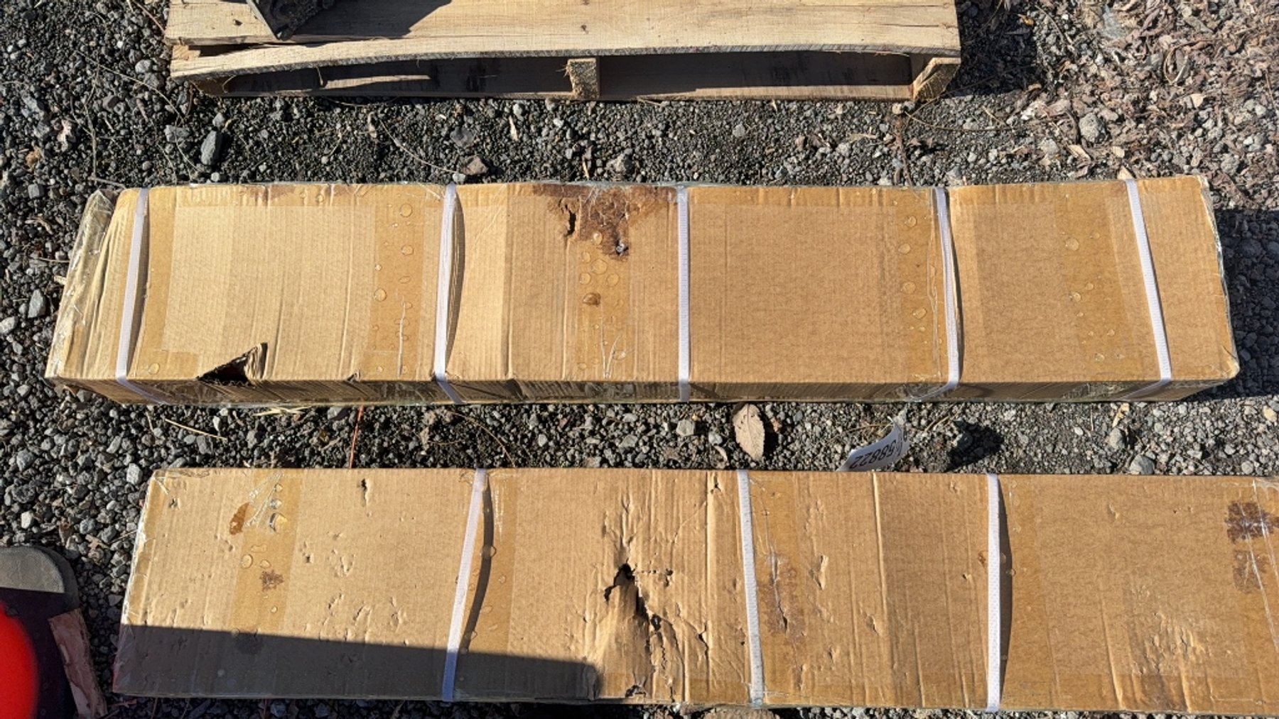 Image for RING 6 - 17 ANNUAL PRE-SEASON ABSOLUTE AUCTION