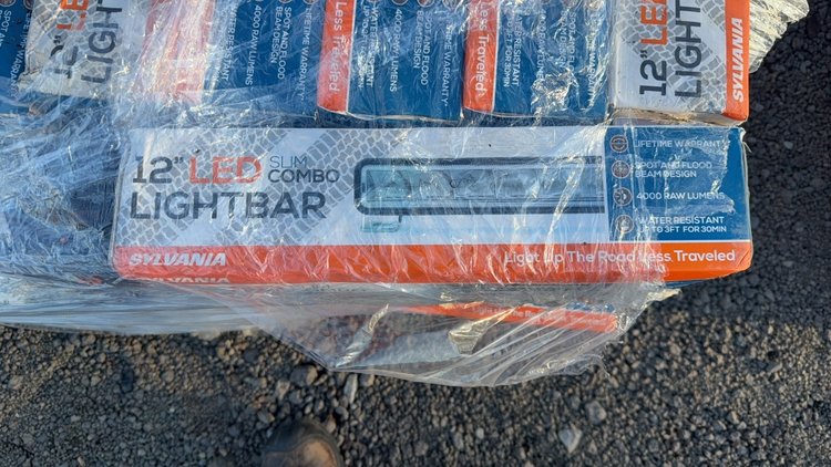 Image for PALLET OF SYLVANIA 12