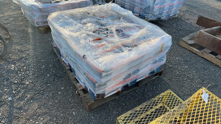 Image for PALLET OF SYLVANIA 12