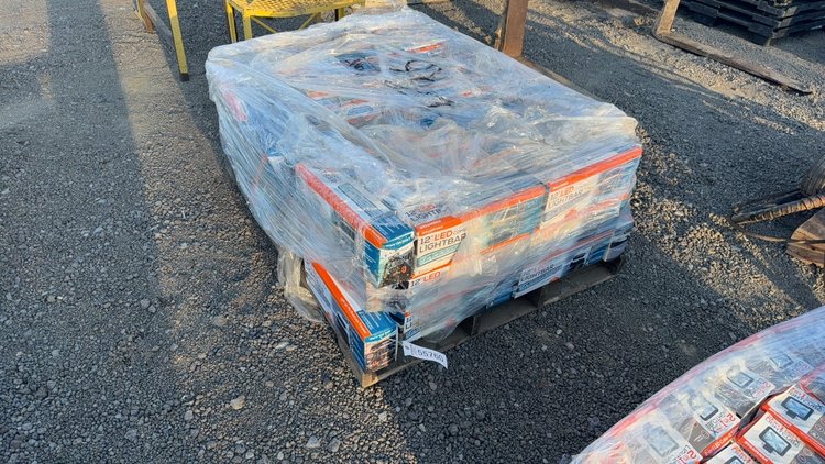 Image for PALLET OF SYLVANIA 12