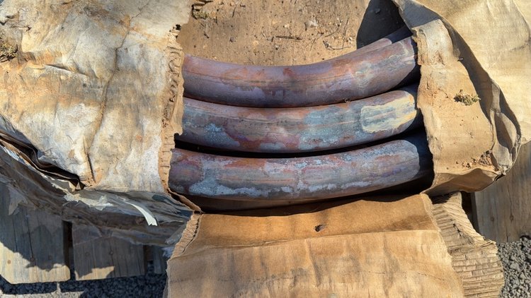 Image for PALLET OF 2