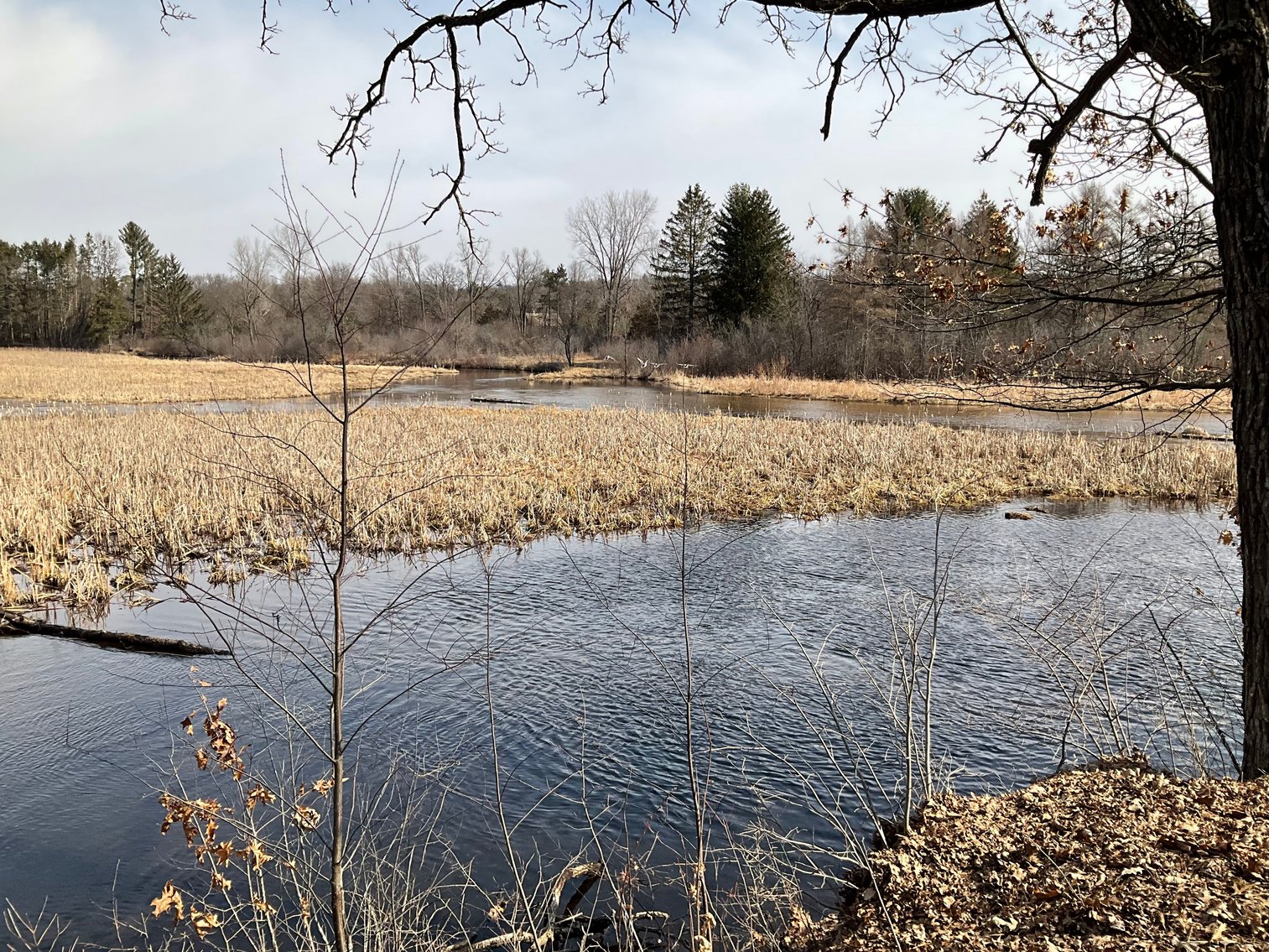 Image for FOR SALE: 3-Bedroom, 2-Bath Country Home on Class A trout stream