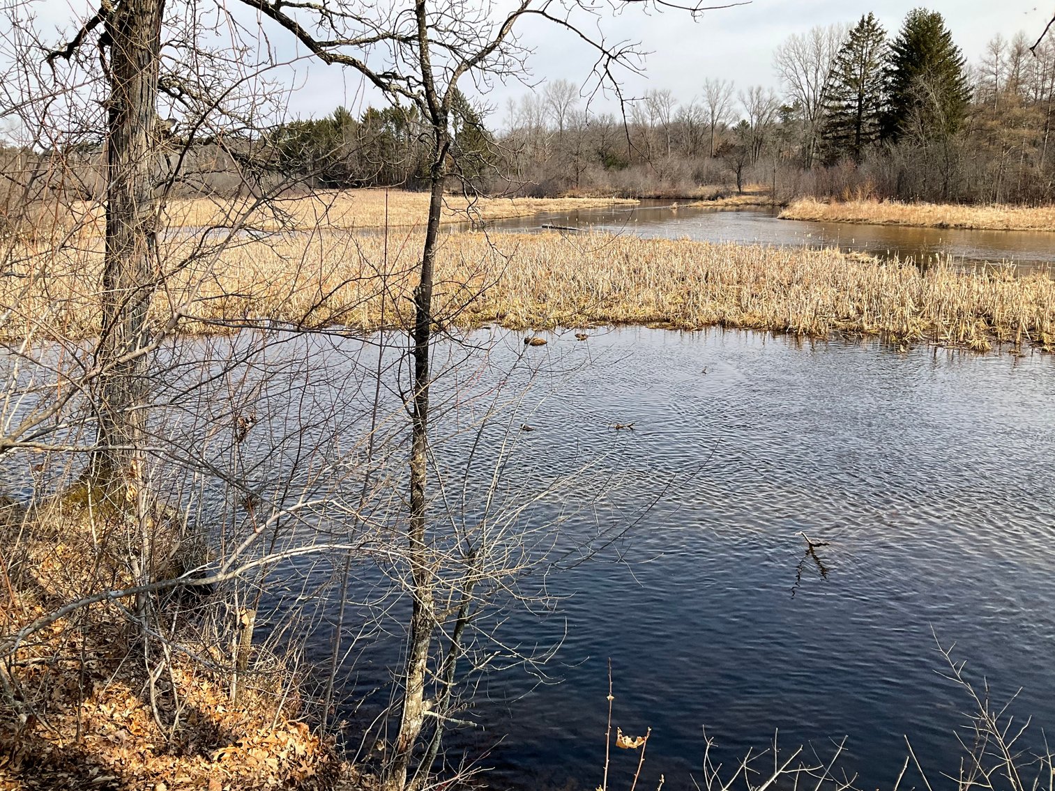 Image for FOR SALE: 3-Bedroom, 2-Bath Country Home on Class A trout stream