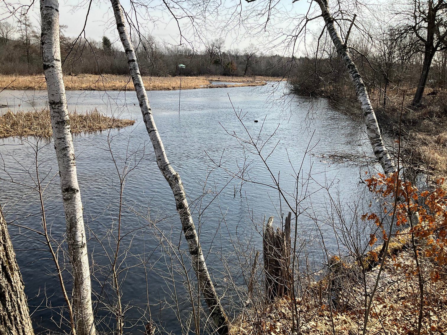 Image for FOR SALE: 3-Bedroom, 2-Bath Country Home on Class A trout stream