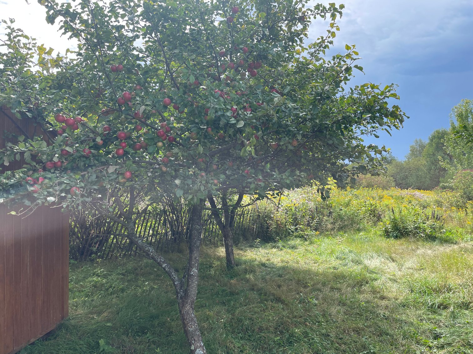 Image for Tom Gilbreath Estate