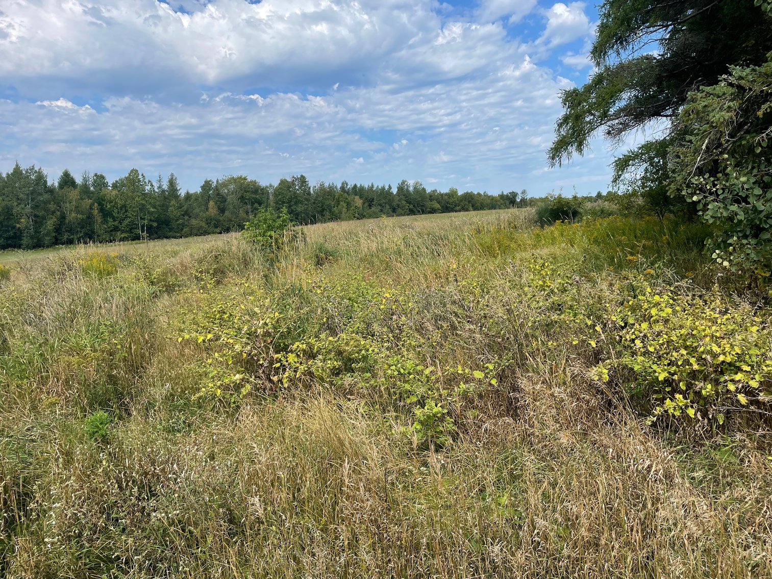 Image for Tom Gilbreath Estate