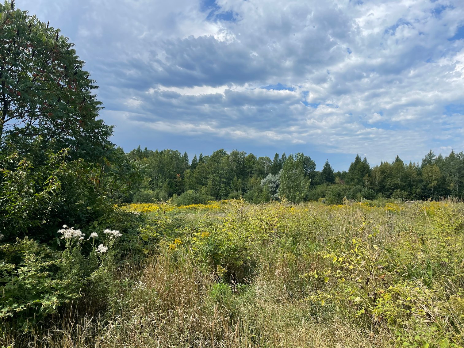 Image for Tom Gilbreath Estate