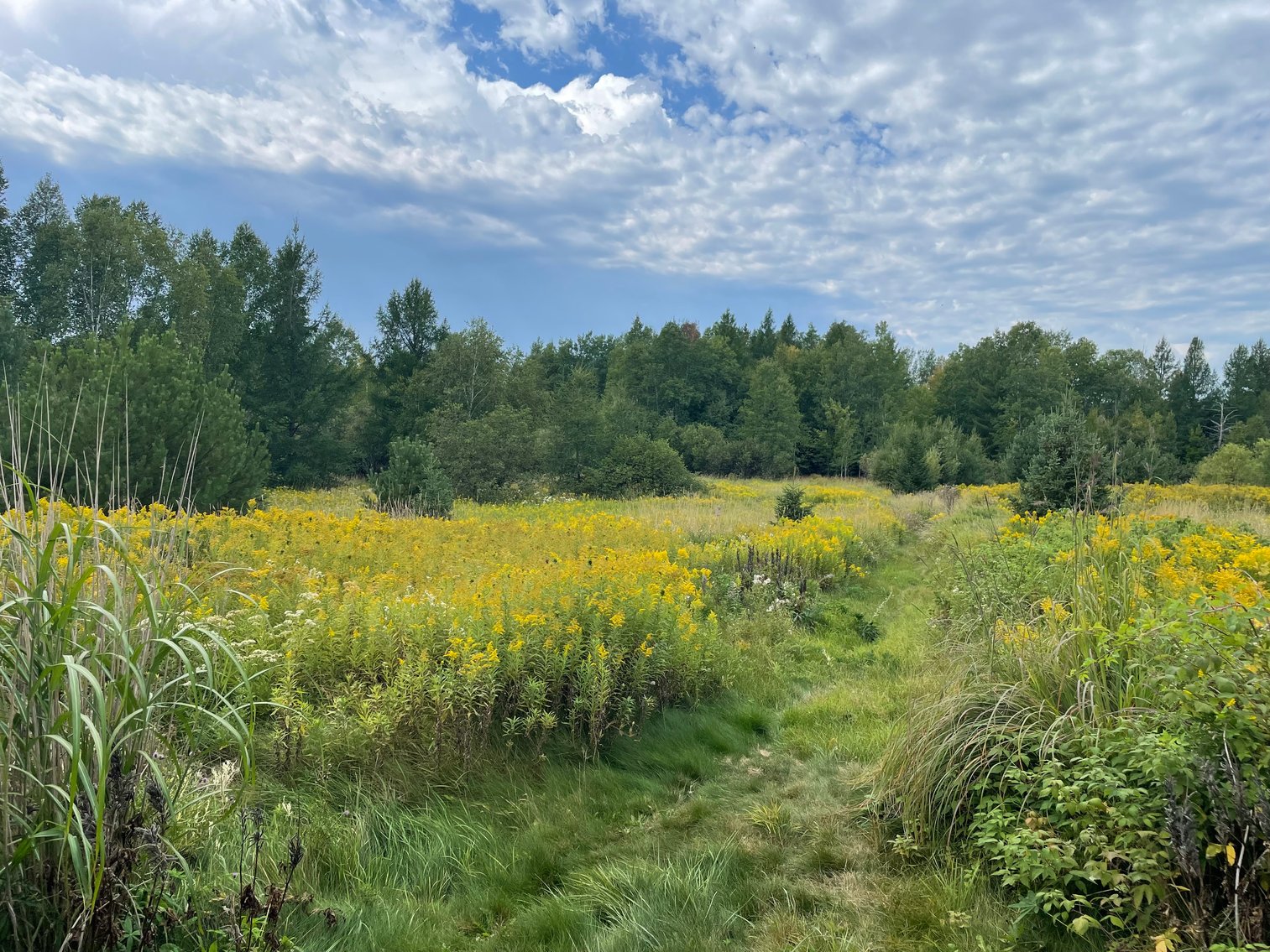 Image for Tom Gilbreath Estate