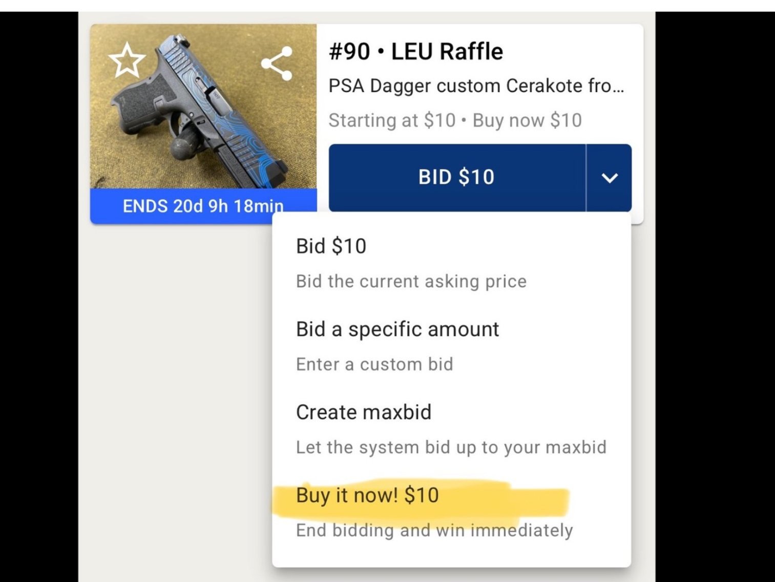 Image for Gun Raffle