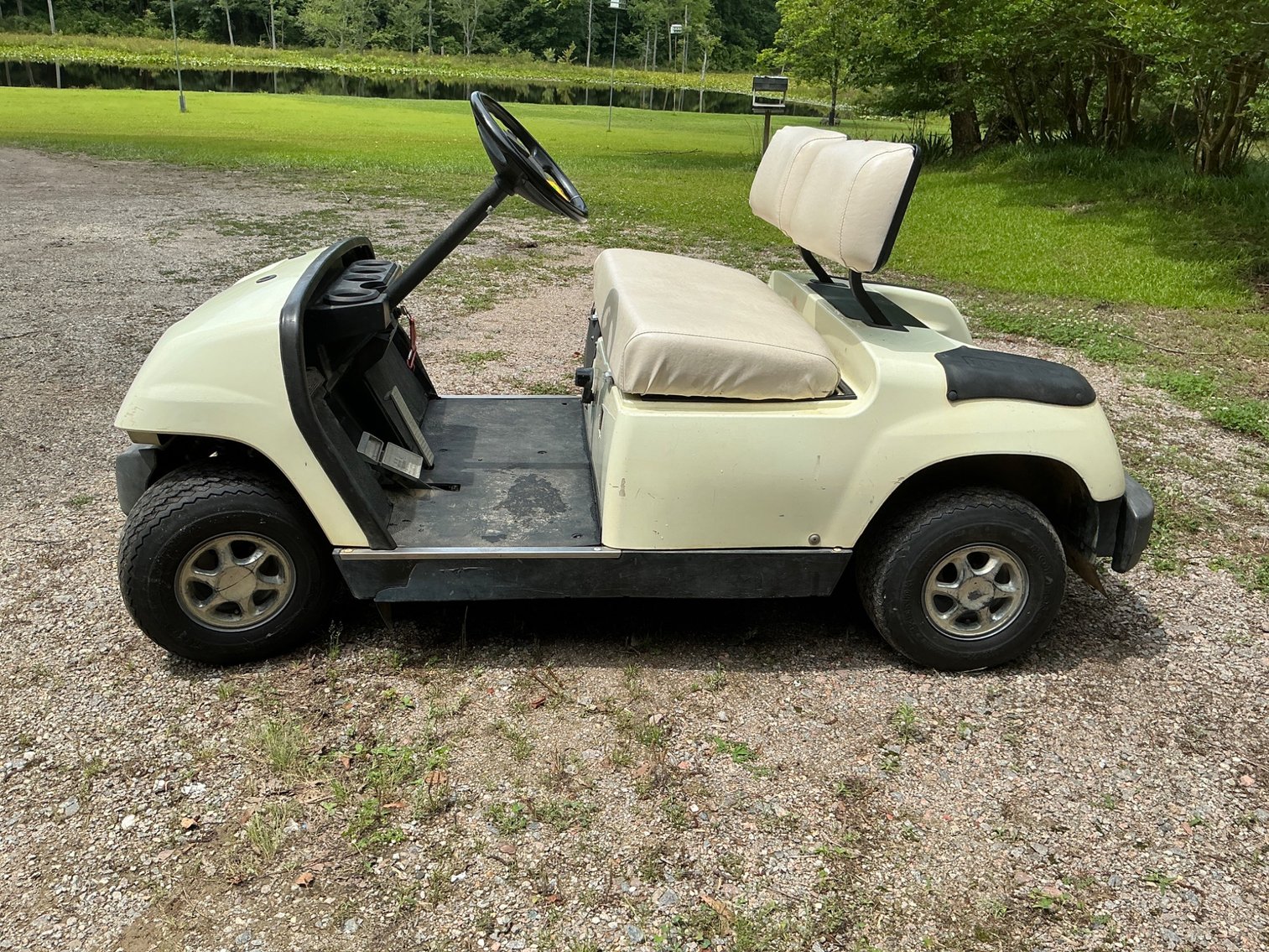 Image for DINWIDDIE DOWNSIZING #3