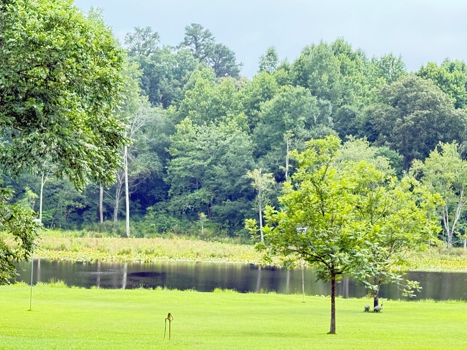 Image for Valuable Real Estate in Dinwiddie, VA