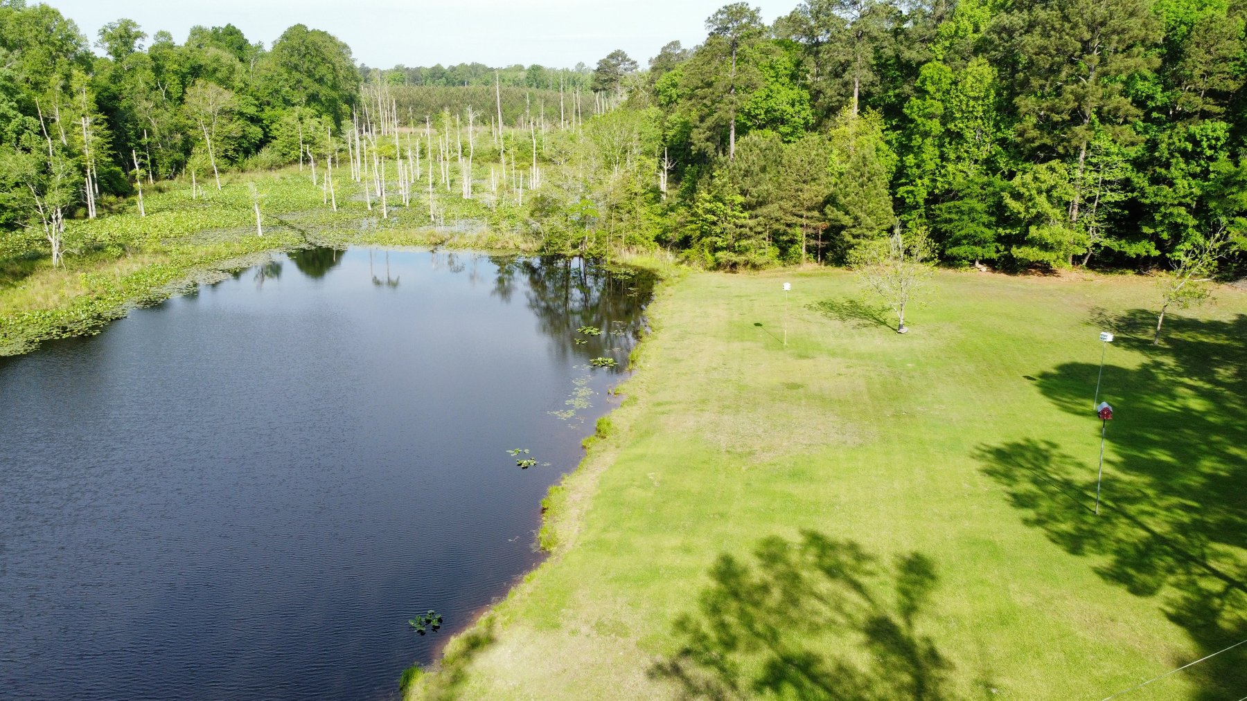 Image for Valuable Real Estate in Dinwiddie, VA