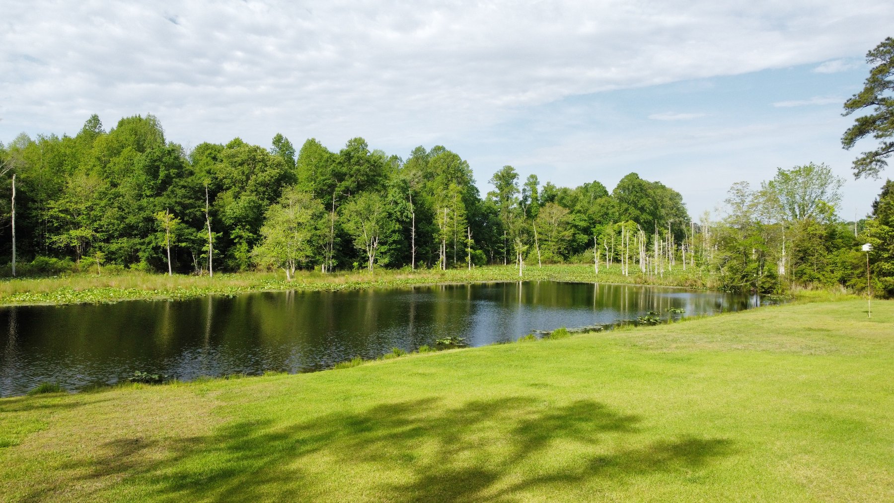 Image for Valuable Real Estate in Dinwiddie, VA